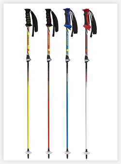 Length Adjustable pole