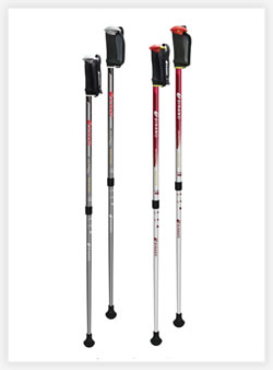 2 section walking poles
