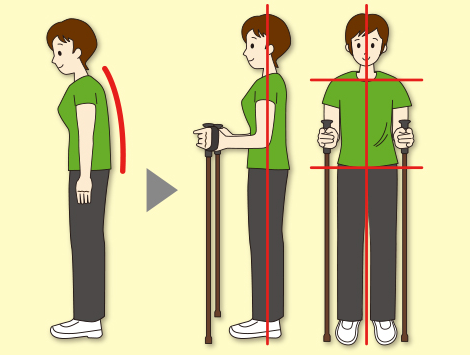 もっと安心2本杖は、背筋が伸びてよい姿勢で歩けます。